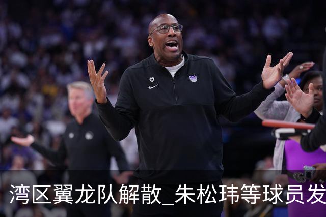 湾区翼龙队解散 朱松玮等球员发布声明维权